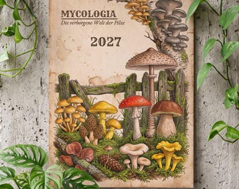May include: A 2027 wall calendar titled MYCOLOGIA Die verborgene Welt der Pilze, featuring detailed illustrations of various mushrooms, including red, yellow, and brown varieties, growing near a wooden fence and a birch tree on aged paper.
