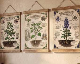Set of 3 Poisonous Plants Vintage Posters | Dark Cottagecore Decor | Witchy Wall Art | Botany German | A1/A2/A3/A4 250g paper