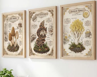 Set of 3 Vintage Mushroom Posters #2 | Cottagecore Decor | Forest Country Style Decor | Mushroom Collector Gift | German A3 250g