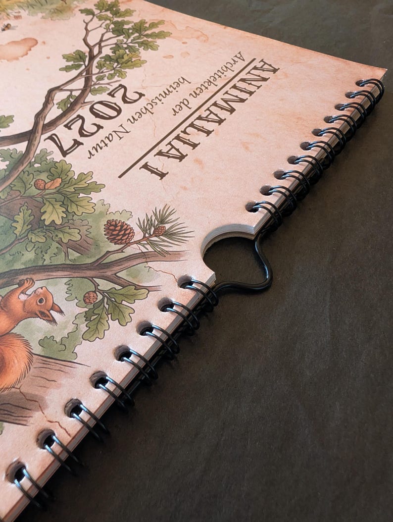 Op de afbeelding: Een wandkalender voor 2027 met de titel ANIMALIA Architekten der heimischen Natur, voorzien van een vintage-stijl illustratie van een eekhoorn in een eikenboom. De kalender is ingebonden met een zwarte draadspiraal en een metalen ophanghaak.