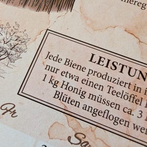 Op de afbeelding: Een beige papieren document met een vintage, gevlekte textuur en zwarte Duitse tekst. Een rechthoekig kader bevat de tekst: LEISTUNG Jede Biene produziert in ihrem Leben nur etwa einen Teel&ouml;ffel Honig. F&uuml;r 1 kg Honig m&uuml;ssen ca. 3 Millionen Bl&uuml;ten angeflogen werden.