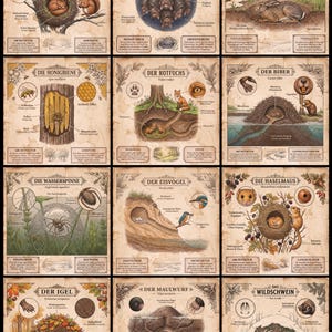 Op de afbeelding: Een verzameling van twaalf educatieve posters met gedetailleerde illustraties van dieren, waaronder eekhoorns, vleermuizen, hazen, bijen, vossen, bevers, waterspinnen, ijsvogels, hazelmuizen, egels, mollen en wilde zwijnen met Duitse teksten.