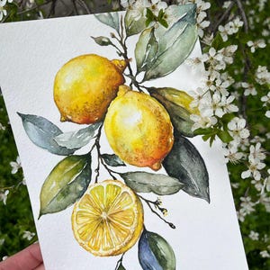Lemon watercolor painting, Hand-Painted Kitchen Wall Decor, botanical art, citrus fruit painting, Italian style, Lemon Branch, home decor