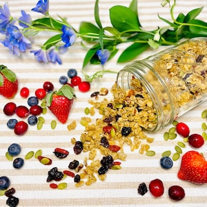 Organic Vegan Granola – Unique Small-Batch Flavors | 10oz | Free Shipping on First 10 Orders!