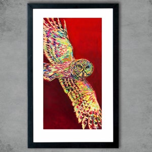 May include: A colourful painting of a great grey owl in flight against a red background. The owl's feathers are painted in a variety of bright colours, including yellow, green, blue, and purple.