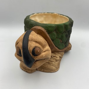 May include: A turtle-shaped planter featuring a tan head with a black stripe down the center and dark brown eyes. The shell is textured with a dark green, bumpy pattern, and the interior of the planter is a smooth, light cream-colored finish.