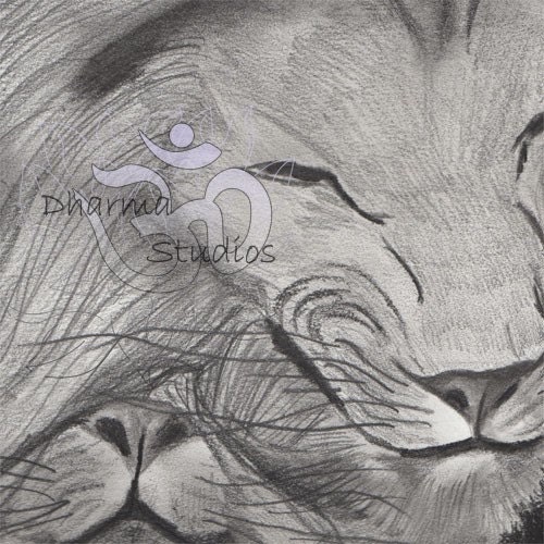 Lions Original Art Pencil Drawing - Etsy