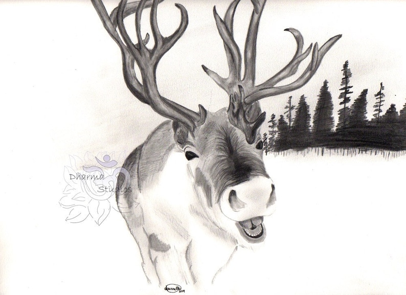 Reindeer Original Art Pencil Drawing Etsy