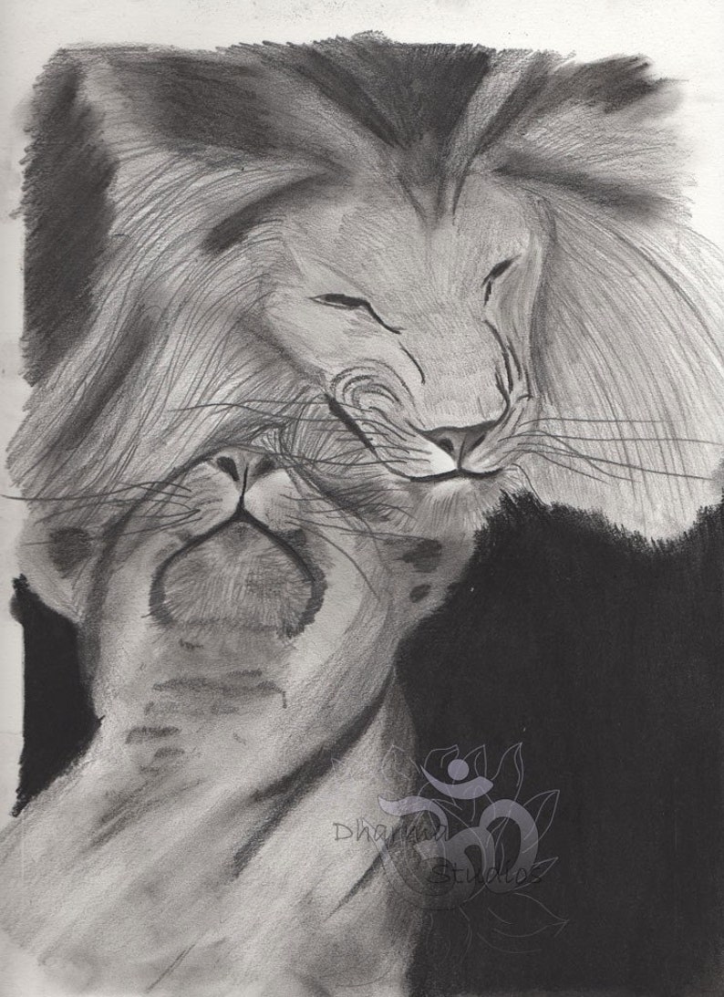 Lions Original Art Pencil Drawing - Etsy