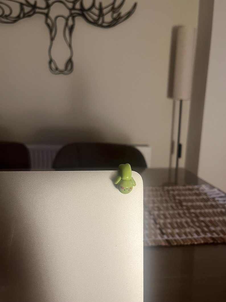 Op de afbeelding: Een kleine, groene kikker-vormige hoekbeschermer voor laptops. De kikker heeft een lichtgroen lichaam met een donkerdere groene kop en kleine, roze wangen. Het is bevestigd aan de hoek van een zilveren laptop.