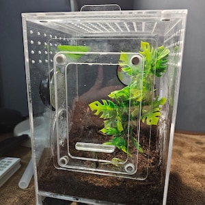 Insectenverblijf/terrarium met lade voor filtratie
