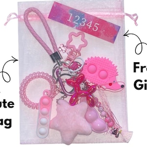May include: A collection of pink keychains including a braided strap, a star-shaped charm, a hedgehog-shaped fidget toy, a balloon dog charm, a fuzzy star, and a coiled wristlet, all contained within a sheer pink drawstring bag.
