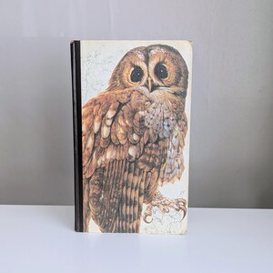 Vintage Book of British Birds 1980 Third Edition Readers Digest - Illustrated