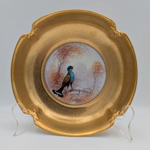 May include: A decorative gold-coloured plate featuring a hand-painted image of a blue and brown bird on a branch, set against an autumnal tree scene. The plate has a textured rim and decorative scalloped edges.