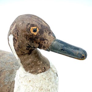 May include: A weathered wooden duck decoy featuring a brown head with a distressed finish, a white neck, and a dark gray beak. The eye is painted with a yellow iris and a black pupil. The surface shows significant paint wear and texture.