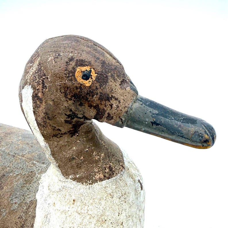May include: A weathered wooden duck decoy featuring a brown head with a distressed finish, a white neck, and a dark gray beak. The eye is painted with a yellow iris and a black pupil. The surface shows significant paint wear and texture.