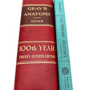 Mid-Century Anatomy Book Set – 1959 Gray’s Anatomy & 1960 Cates’ Primary Anatomy – Vintage Medical Textbooks in Good Condition