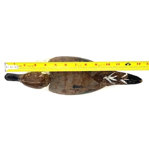 May include: A wooden duck decoy with brown, black, and white painted details, positioned next to a yellow measuring tape that shows the object is approximately 13 inches long. The decoy features a dark head, a light neck band, and a dark body.