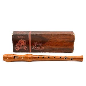 May include: A polished brown wooden recorder instrument with a mouthpiece, finger holes, and a double hole at the bottom. It is accompanied by a rectangular brown cardboard box featuring the Hohner brand name and the text Musica Blockflöte.