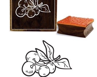 Craft Textile Fabric Printing Stamp By 1 Pc PRB-578 Pottery Scrapbook Stamp Designer Grapes Pattern Stamp Square Wooden Rubber Stamp