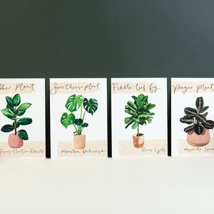 Ensemble de cartes postales de plantes d'intérieur - Cadeau illustré de plantes d'intérieur par Sunshine for Breakfast