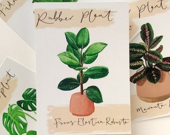 Rubber Plant Postcard - illustrated house plant gift by Sunshine for Breakfast