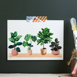 House plants postcard illustrated house plants by Sunshine for Breakfast image 1