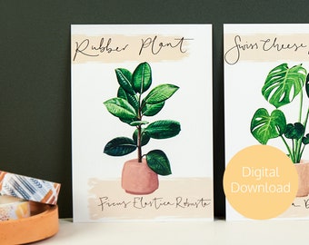 Rubber Plant Digital Print - Digital Download - Printable Postcard