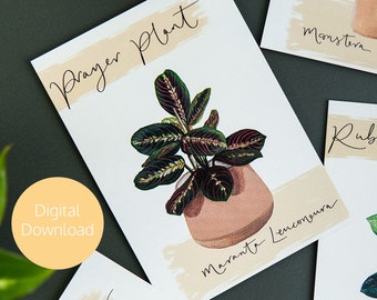 Maranta Prayer Plant Digital Print - Digital Download - Printable Postcard