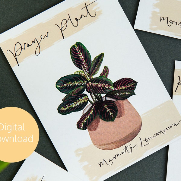 Maranta Prayer Plant Digital Print - Digital Download - Printable Postcard