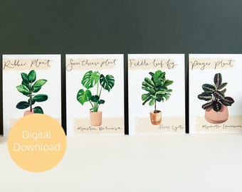 House Plant Bundle - 5 x Digital Prints - Digital Downloads - Printable Postcards