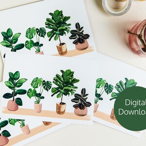 Impressão digital de plantas domésticas - Download digital - Cartão postal para impressão