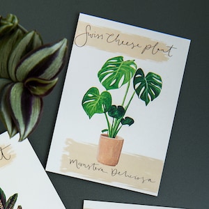 Cartão postal Monstera - cartões postais de plantas caseiras de queijo suíço. Decoração de plantas de casa. Plantas em aquarela.