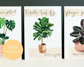 Fiddle Leaf Fig House Plant Digital Print - Digital Download - Printable Postcard