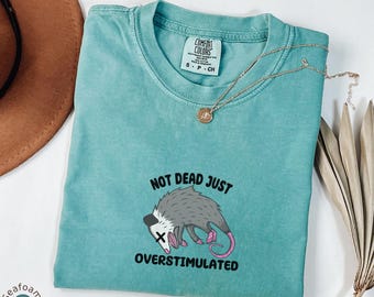 Overstimulated Comfort Colors® T-Shirt, Weirdcore Aesthetic Shirt, Funny Neurodivergent, Subtle Weird Stuff Shirt, ADHD Shirt