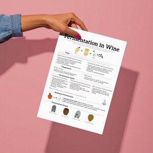 La fermentación en el vino