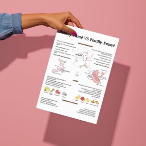 Könnte beinhalten: Ein weißes Papier mit dem Titel "Pouilly-Fuissé VS Pouilly-Fumé" wird vor einem rosa Hintergrund gehalten. Das Papier enthält Karten, Text und Illustrationen, die die Weine vergleichen. Das Papier wird von einer Person gehalten, die ein Jeanshemd trägt.