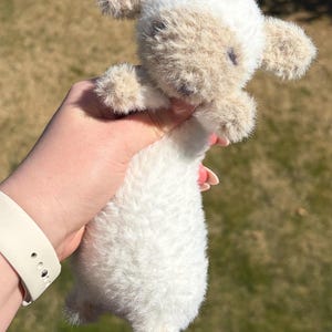 Crochet Soup Belly Lamb