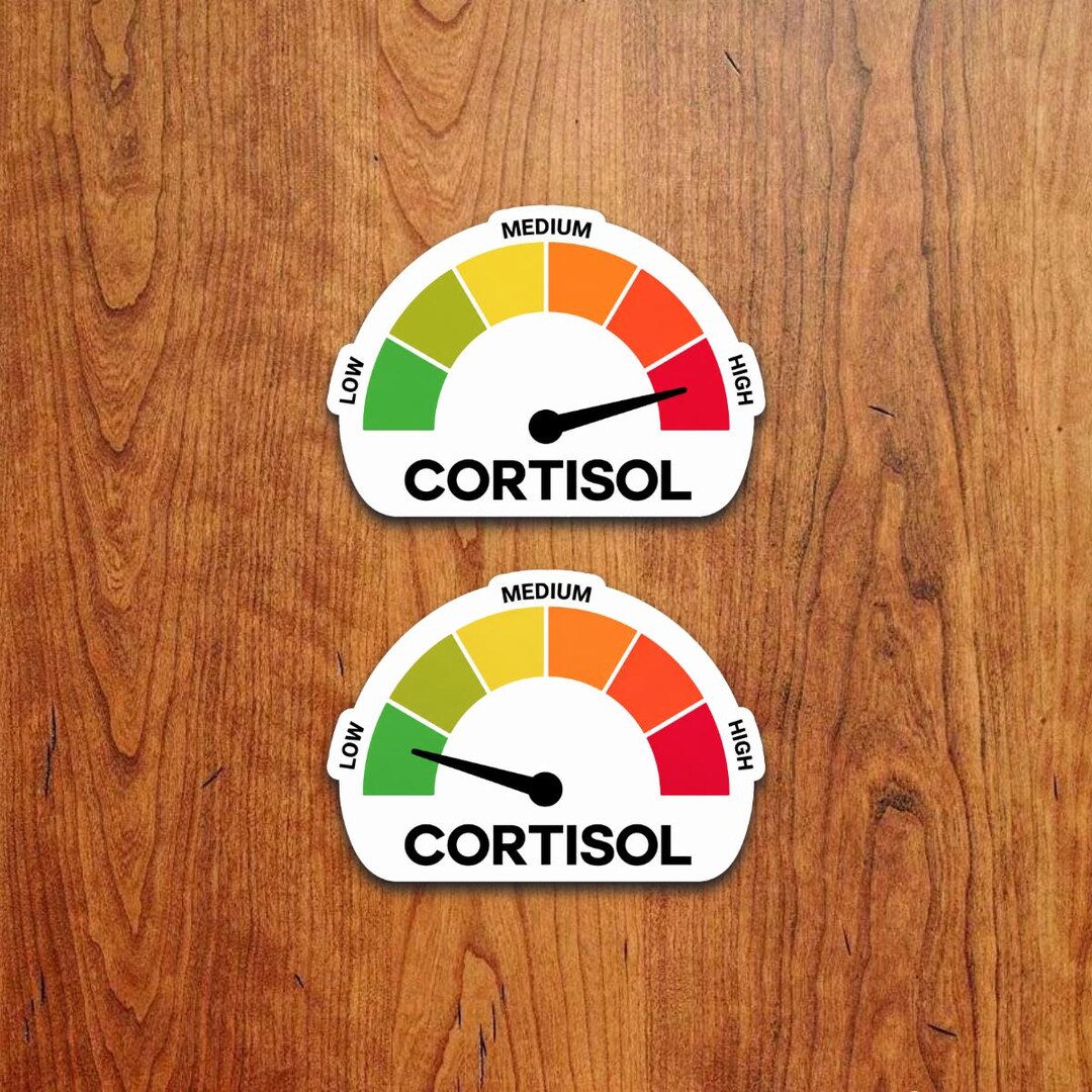High Cortisol Low Cortisol Sticker Set Funny Anxiety Vinyl Decal