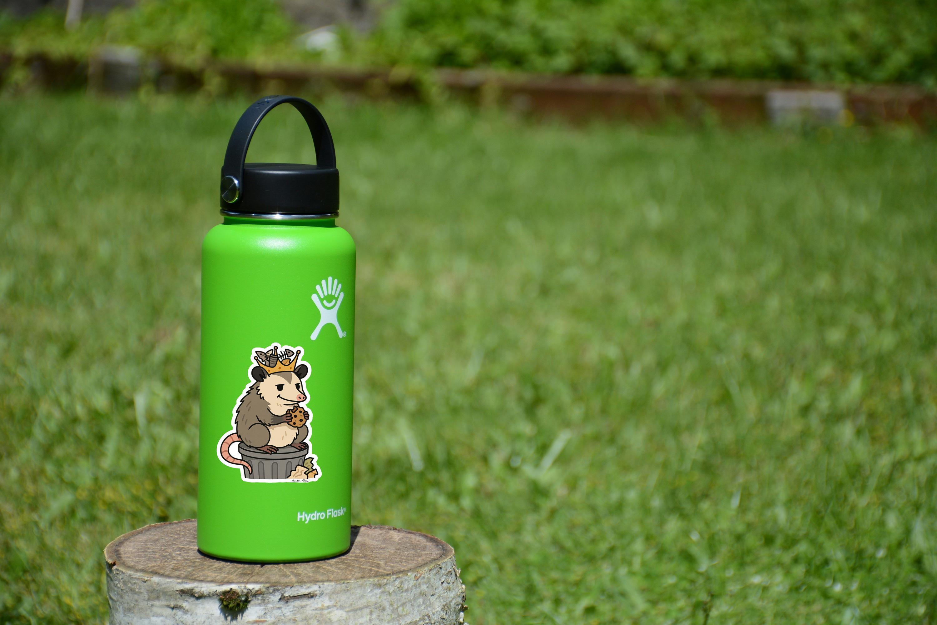 Funny Opossum Trash King Sticker | Meme Vinyl Decal - Etsy