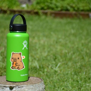 May include: A green Hydro Flask water bottle with a black handle and lid. A sticker of a cartoon wombat holding a carrot is on the bottle. The bottle is sitting on a tree stump in front of a green grassy background.
