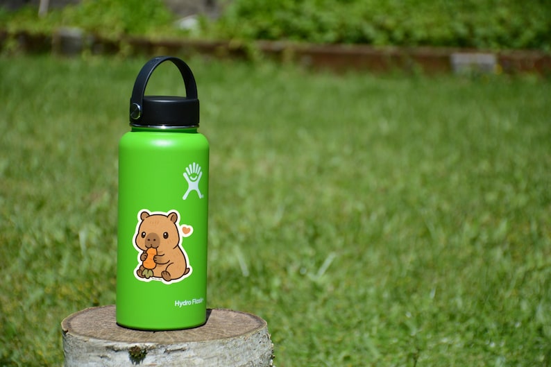 May include: A green Hydro Flask water bottle with a black handle and lid. A sticker of a cartoon wombat holding a carrot is on the bottle. The bottle is sitting on a tree stump in front of a green grassy background.