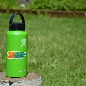 May include: A green Hydro Flask water bottle with a black lid and handle. A colorful sticker of a map of Puerto Rico is on the front. The bottle is sitting on a tree stump in front of a green grassy background.