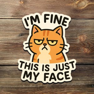 May include: A sticker with an orange tabby cat with a grumpy expression. The text "I'M FINE" is above the cat, and "THIS IS JUST MY FACE" is below. The sticker is on a wooden surface.