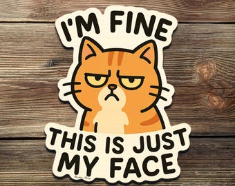 Pegatina de vinilo de Grumpy Cat: divertida calcomanía de meme sarcástico para portátil o botella de agua.
