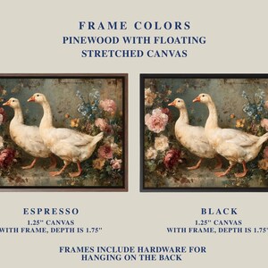 May include: Two framed canvas prints featuring a vintage painting of white geese among pink and blue flowers. The frames are available in espresso and black. The text reads "Frame Colors, Pinewood with Floating Stretched Canvas."