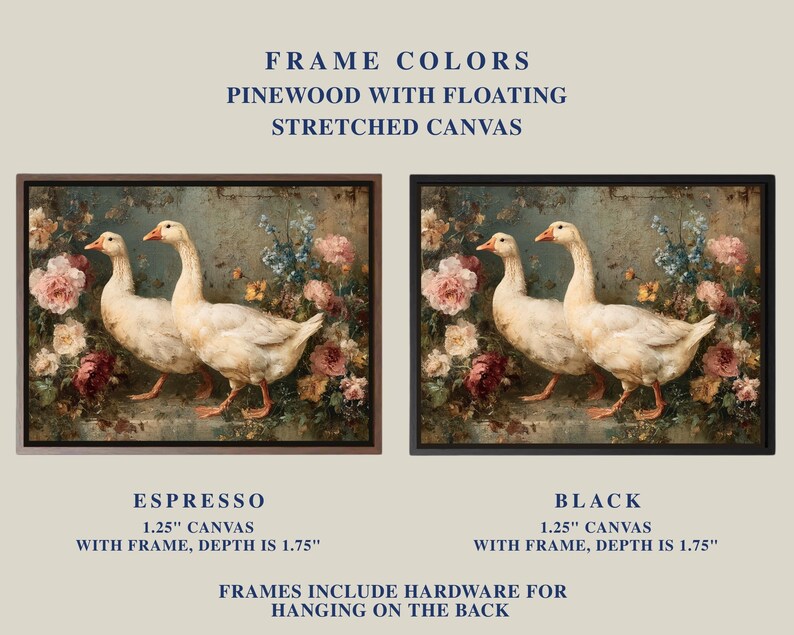 May include: Two framed canvas prints featuring a vintage painting of white geese among pink and blue flowers. The frames are available in espresso and black. The text reads "Frame Colors, Pinewood with Floating Stretched Canvas."