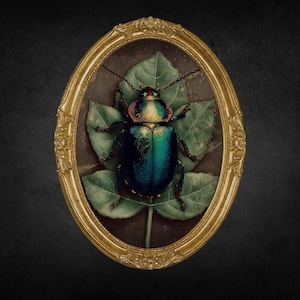 Jewel Beetle Art Print: Iridescent Insect, Gothic Entomology Illustration