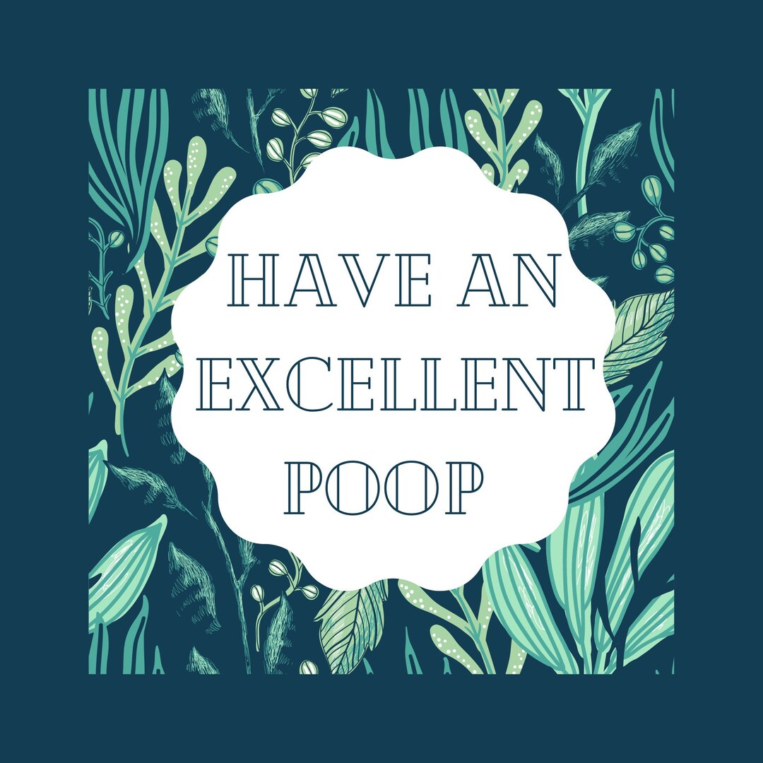 Whimsical Have an Excellent Poop Digital Print - Etsy