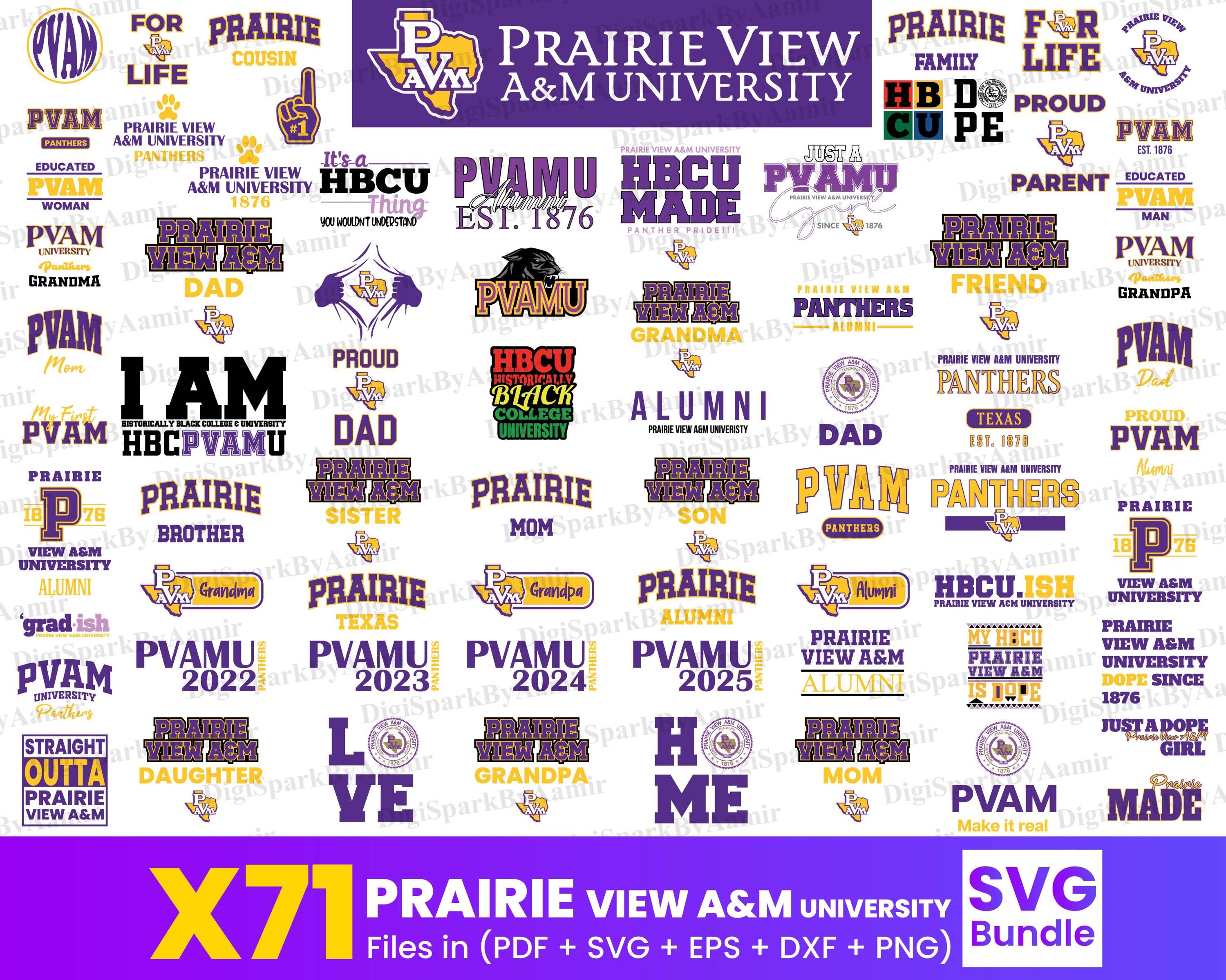 Pioneer Panthers Australia